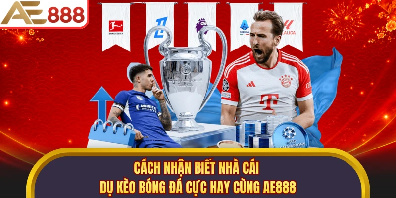 Cách Nhận Biết Nhà Cái Dụ Kèo Bóng Đá Cực Hay Cùng AE888