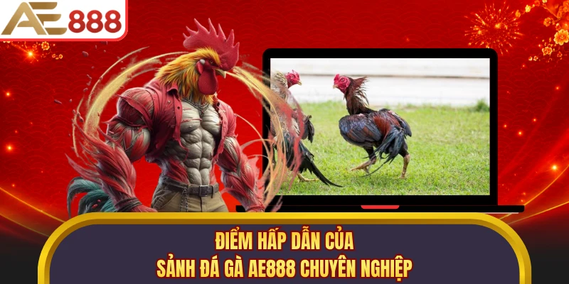 Điểm hấp dẫn của sảnh đá gà AE888 chuyên nghiệp